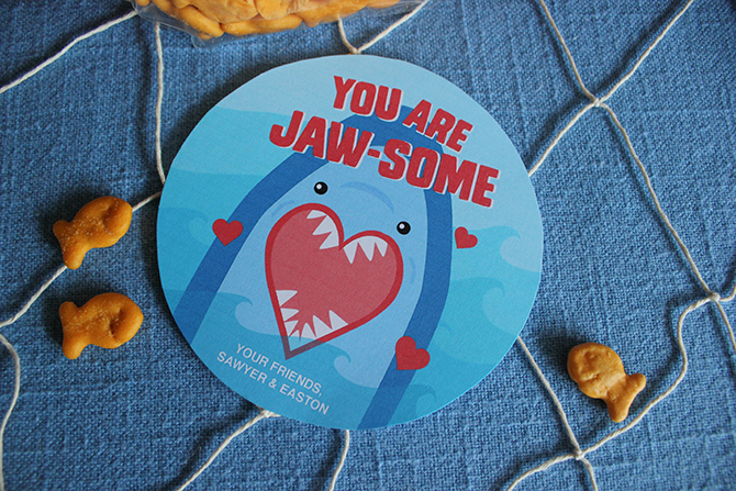 shark valentines day squishmallow